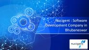 Nucigent - Software Development Company in Bhubaneswar