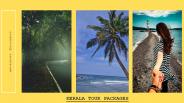 Kerala Tour Packages|Paradise Holidays