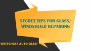 WESTCHASE AUTO GLASS