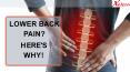 LOWER BACK PAIN? HERE'S WHY! PowerPoint PPT Presentation
