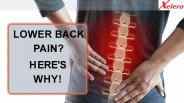 LOWER BACK PAIN? HERE'S WHY!