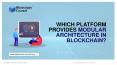 Which Platform Provides Modular Architecture in Blockchain? PowerPoint PPT Presentation