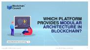 Which Platform Provides Modular Architecture in Blockchain?