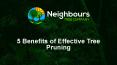 5 benefits of effective tree pruning PowerPoint PPT Presentation