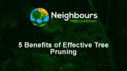5 benefits of effective tree pruning