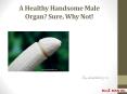 A Healthy Handsome Male Organ? Sure, Why Not! PowerPoint PPT Presentation