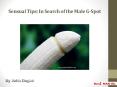 Sensual Tips: In Search of the Male G-Spot PowerPoint PPT Presentation