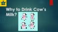 Why to drink cow's milk ? PowerPoint PPT Presentation