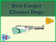 Best Carpet Cleaner Dogs