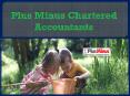 Plus Minus Chartered Accountants PowerPoint PPT Presentation