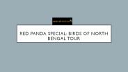 Red Panda Special: Birds of North Bengal Tour