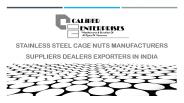 Stainless Steel Cage Nuts