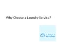 Why Choose a Laundry Service? PowerPoint PPT Presentation