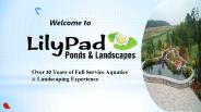 4 Signs You Need Landscape Maintenance Services