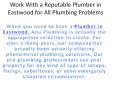 Work With a Reputable Plumber in Eastwood for All Plumbing Problems PowerPoint PPT Presentation