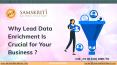 Why Lead Data Enrichment Is Crucial for Your Business PowerPoint PPT Presentation
