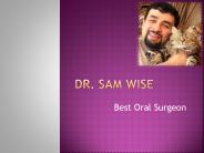 Dr. Sam Wise: Awards and Professional Affiliations (1)
