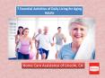 Essential Activities of Daily Living for Aging Adults PowerPoint PPT Presentation