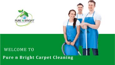 Pure n Bright Carpet Cleaning