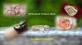 All You Need To Know About Diamond Jewellery