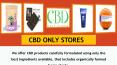 CBD Only Stores PowerPoint PPT Presentation