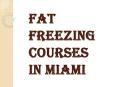 Fat Freezing Courses in Miami PowerPoint PPT Presentation