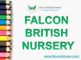 Help children of determination – Falcon British Nursery PowerPoint PPT Presentation