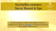 Seychelles Summer