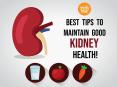Handy Tips to Maintain Good Kidney Health PowerPoint PPT Presentation