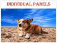 Individual Panels & River Side Puppi PowerPoint PPT Presentation