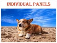 Individual Panels & River Side Puppi