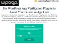How to Obtain WordPress Age Verification for Ecommerce PowerPoint PPT Presentation