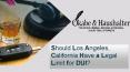 Should Los Angeles, California Have a Legal Limit For DUI? PowerPoint PPT Presentation