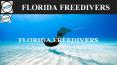 FreeDiving PowerPoint PPT Presentation