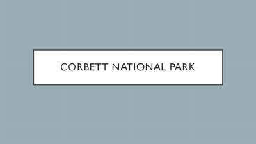 Corbett national park