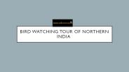 Bird Watching Tour of Northern India