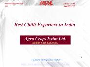 Best Chilli Exporters In India