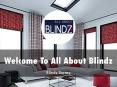 Information Presentation Of All About Blindz PowerPoint PPT Presentation