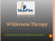 Wilderness Therapy - bluefirewilderness.com (1)