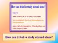 How can it feel to study abroad alone? PowerPoint PPT Presentation