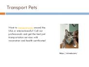 Transport Pets