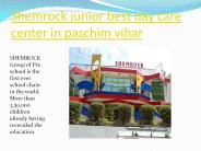 shemrock00095