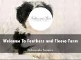 Feathers and Fleece Farm Presentation PowerPoint PPT Presentation