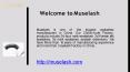 Buy Cost-Effective Lash Extension - Muselash