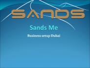 Businessmen Service Dubai