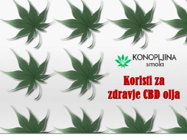 Koristi za zdravje CBD olja