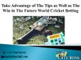 Tips On How To Earn Income From Cricket Betting Tips Free PowerPoint PPT Presentation