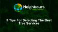 5 tips on how to select the best tree services PowerPoint PPT Presentation