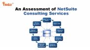 An Assessment of NetSuite Consulting Services
