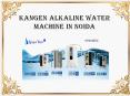 Kangen Alkaline Water Machine In Noida
